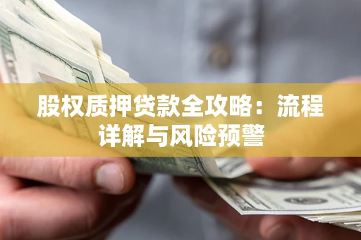 武汉股权质押贷款全攻略：流程详解与风险预警