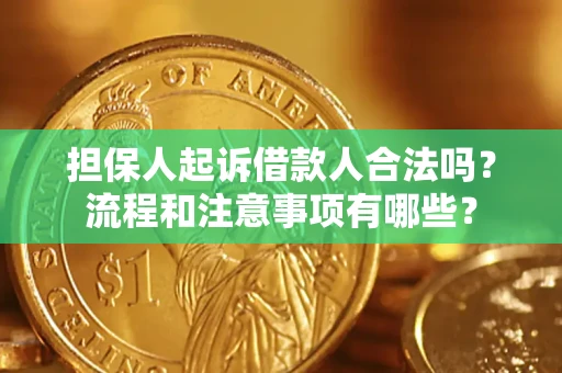 武汉担保人起诉借款人合法吗？流程和注意事项有哪些？
