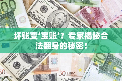 武汉坏账变‘宝账’？专家揭秘合法翻身的秘密！
