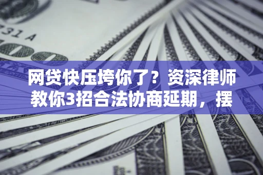 武汉网贷快压垮你了？资深律师教你3招合法协商延期，摆脱暴力催收！