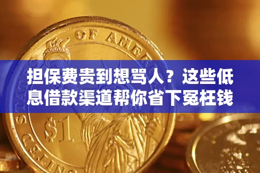 武汉担保费贵到想骂人？这些低息借款渠道帮你省下冤枉钱