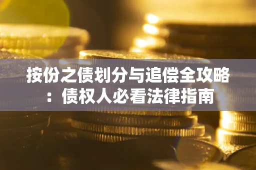 武汉按份之债划分与追偿全攻略：债权人必看法律指南