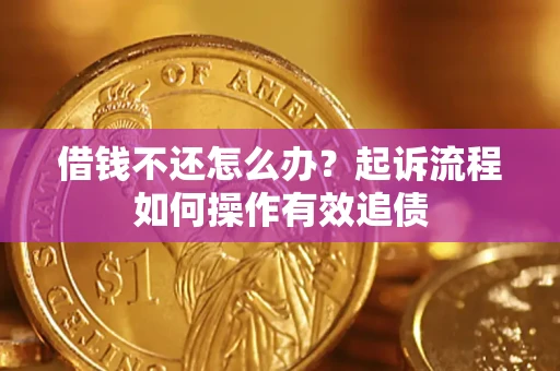 武汉借钱不还怎么办？起诉流程如何操作有效追债