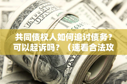武汉共同债权人如何追讨债务？可以起诉吗？（速看合法攻略）