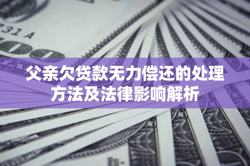 武汉父亲欠贷款无力偿还的处理方法及法律影响解析