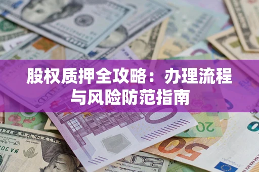 武汉股权质押全攻略：办理流程与风险防范指南