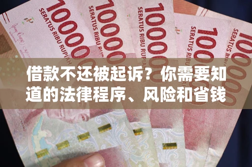 武汉借款不还被起诉？你需要知道的法律程序、风险和省钱技巧