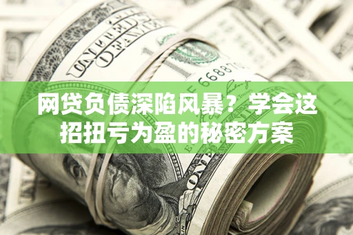 武汉网贷负债深陷风暴？学会这招扭亏为盈的秘密方案