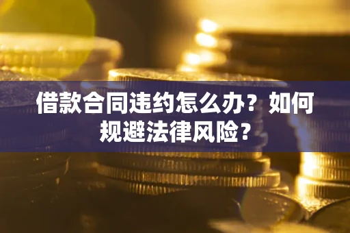 武汉借款合同违约怎么办？如何规避法律风险？